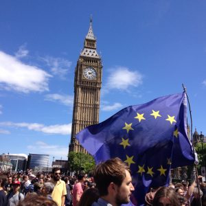 Parliament demo